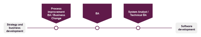 Diagram shows the way similar roles relate to the BA role. A line stretches from stategy and business development to software development. In the middle is the BA role, and closer to sofware development is the system analyst or technical BA role, and then at the other end with strategy and business development would be the roles of process improvement BA or Business Change.